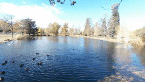 Idlewild Park Reno, NV